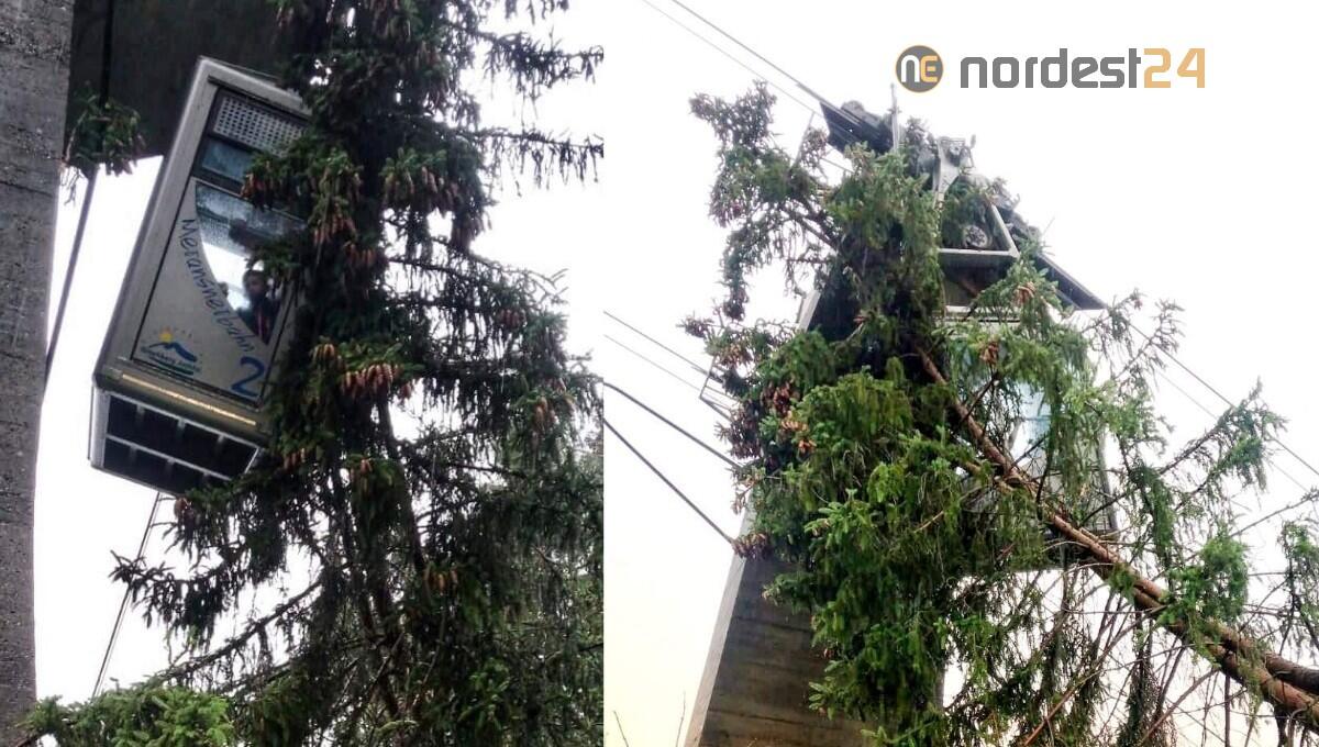 Maltempo, paura in funivia: albero si abbatte contro la cabina - 