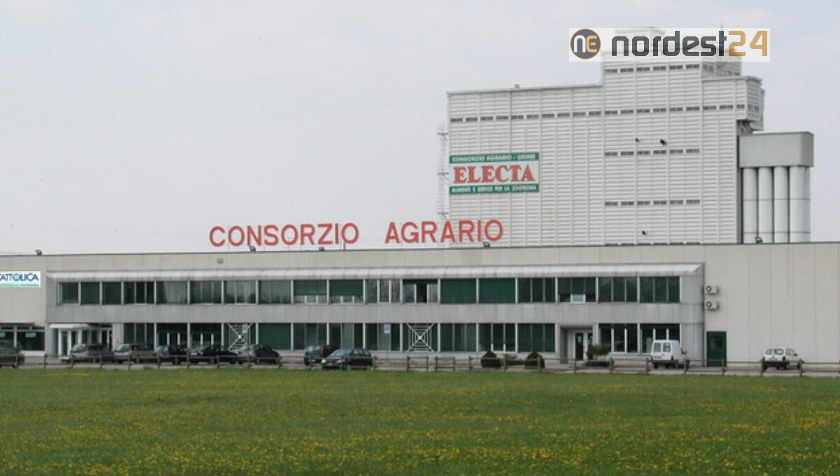 Consorzio Agrario Fvg: semestrale positiva, fatturato a 56 milioni (+2%) - 