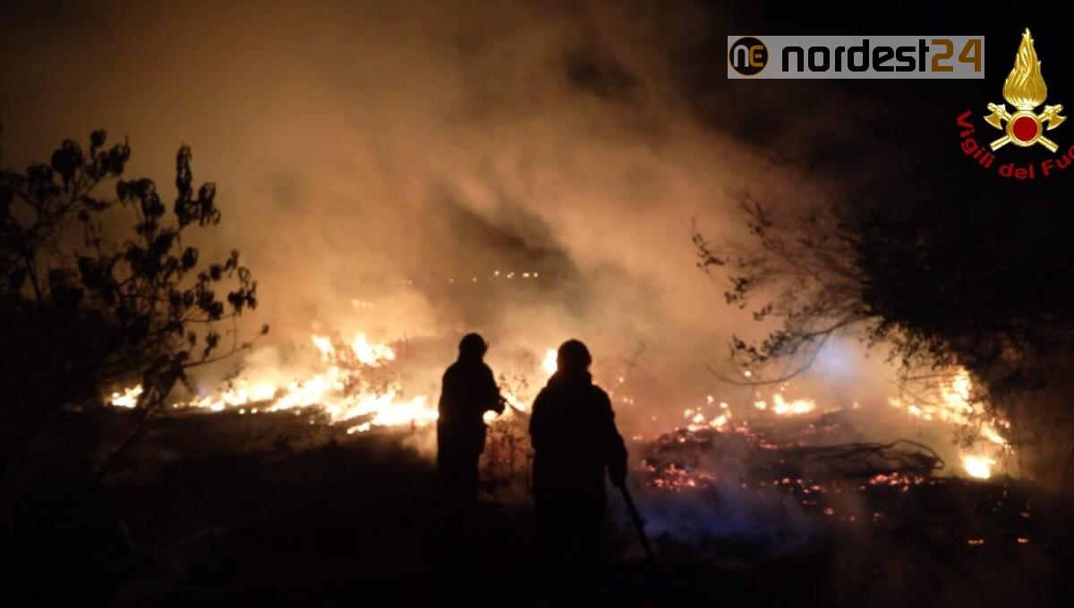 Trieste. A fuoco 5500 mq di sterpaglie e rifiuti a Borgo San Sergio - 