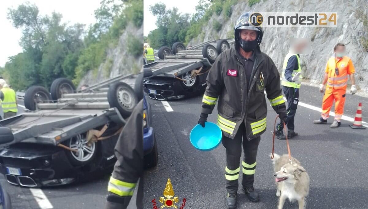 Auto con carrello si cappotta: in salvo conducente e cane al seguito - 