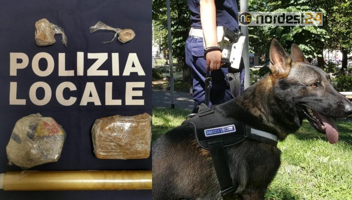 Cane antidroga fiuta oltre mezzo kg di eroina dal valore di 25mila euro - 