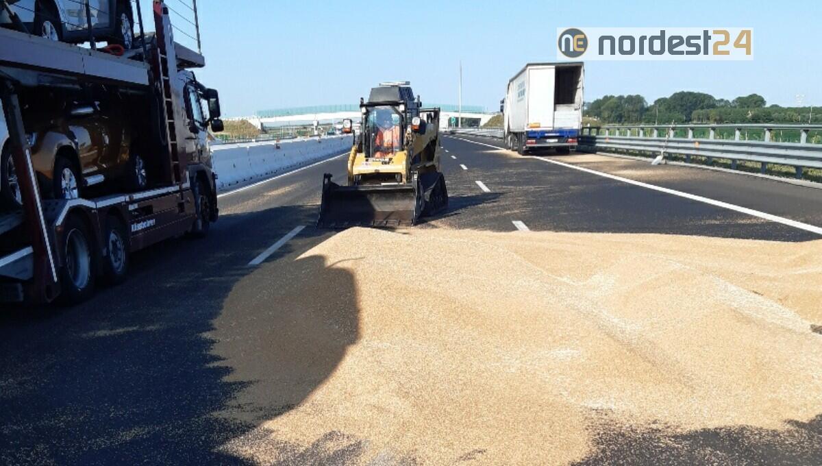 Mezzo pesante perde il carico: fuga di polli in A4 tra Latisana e Portogruaro - 