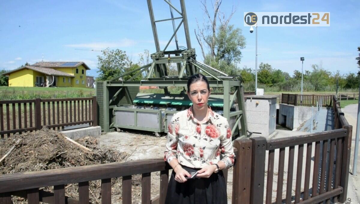 Maltempo a Fiume Veneto, il sindaco: "cerchiamo di tornare alla normalità" - VIDEO - 