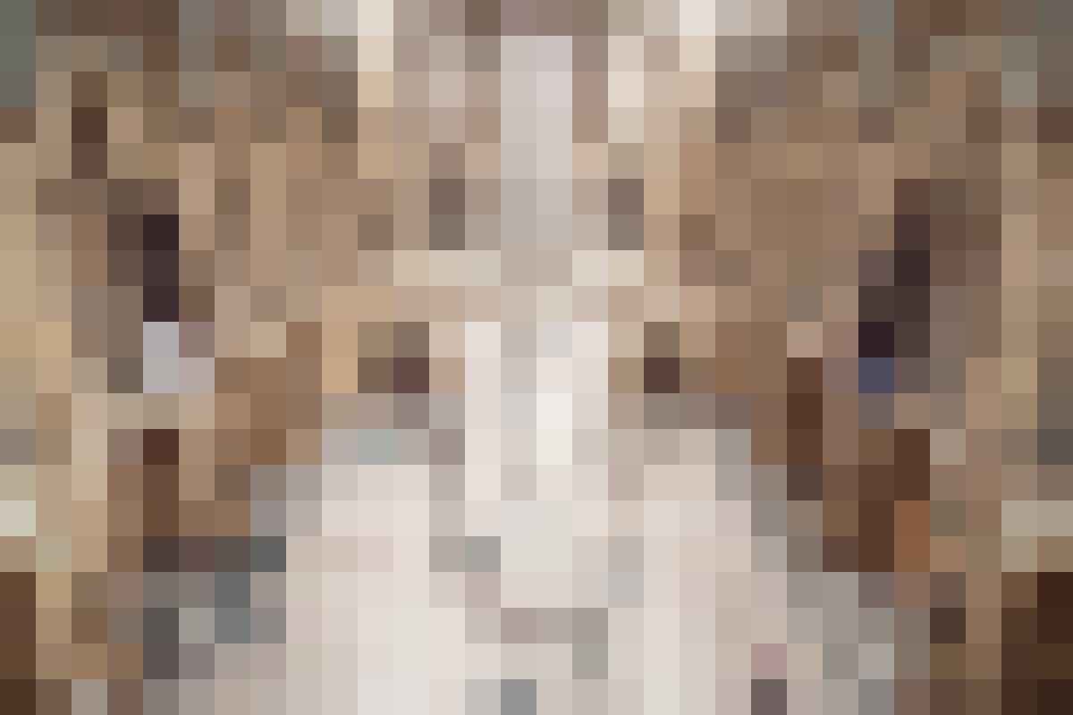 Can We Recreate Dinosaurs from Their DNA? - 