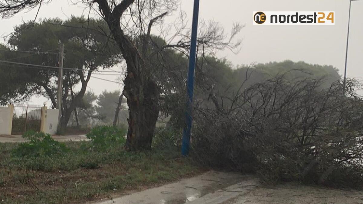 Maltempo, oggi il decreto: 100mila euro per  popolazione colpita il 16 e 17 agosto - 