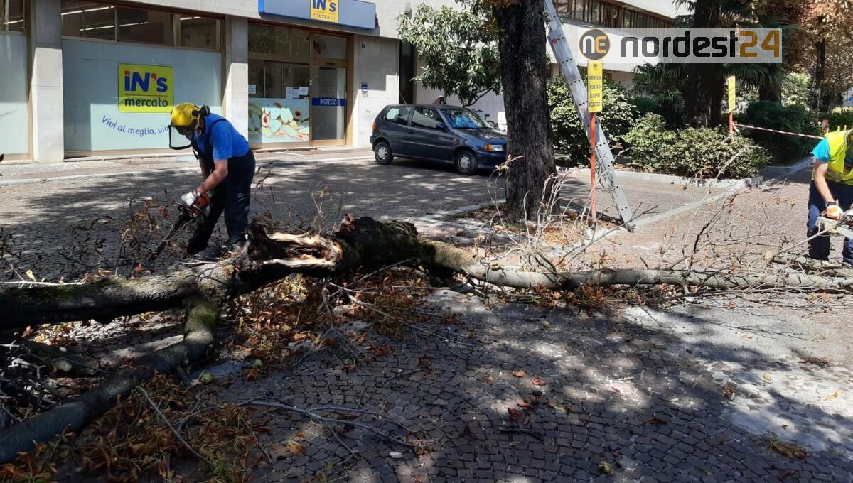 Maltempo, tempestivi interventi della Protezione Civile a Udine - 