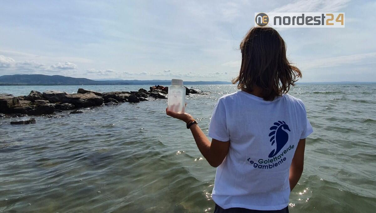 Coste Fvg, 3 campioni su 10 sono oltre i limiti di legge: tutti foci dei fiumi - 