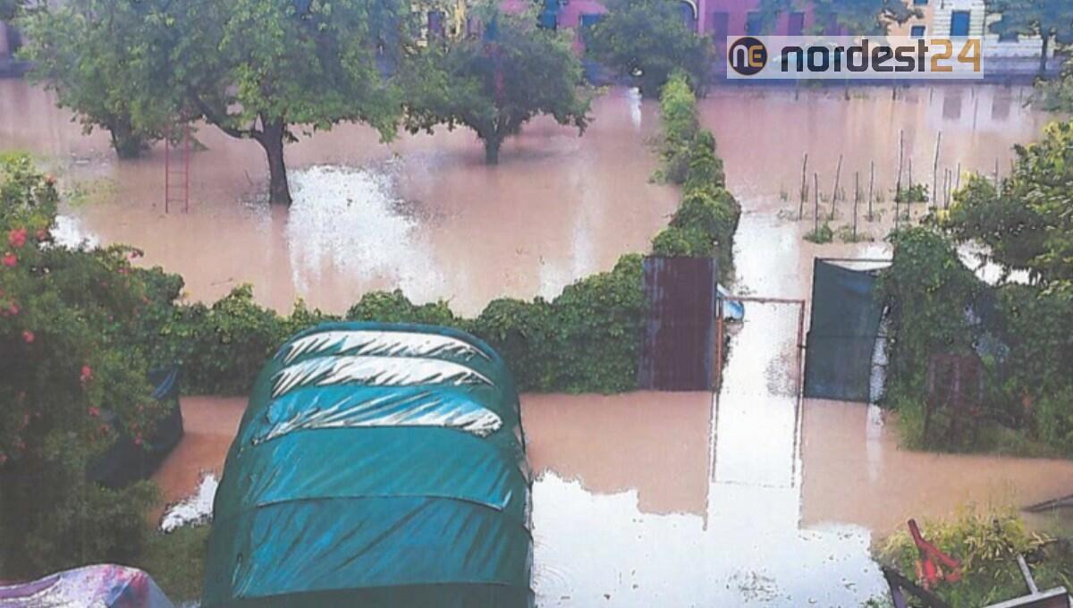 Azienda agricola "ostaggio" delle esondazioni del fiume, ma il Consorzio di bonifica non risponde - 