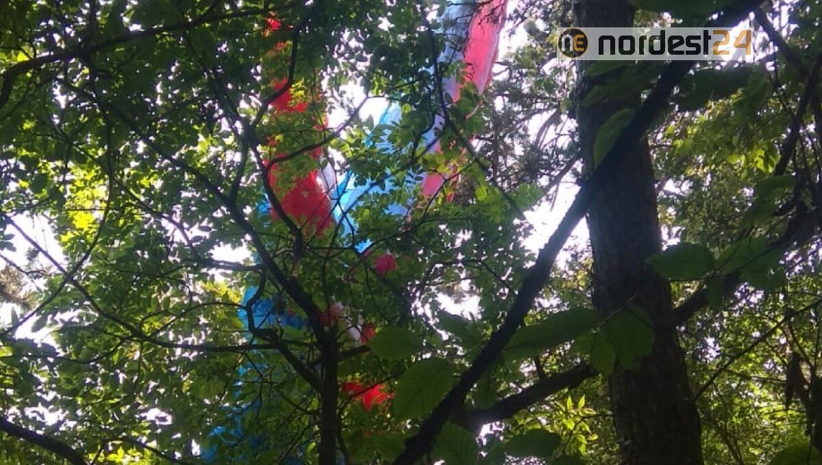 Un altro parapendio precipitato tra gli alberi - 