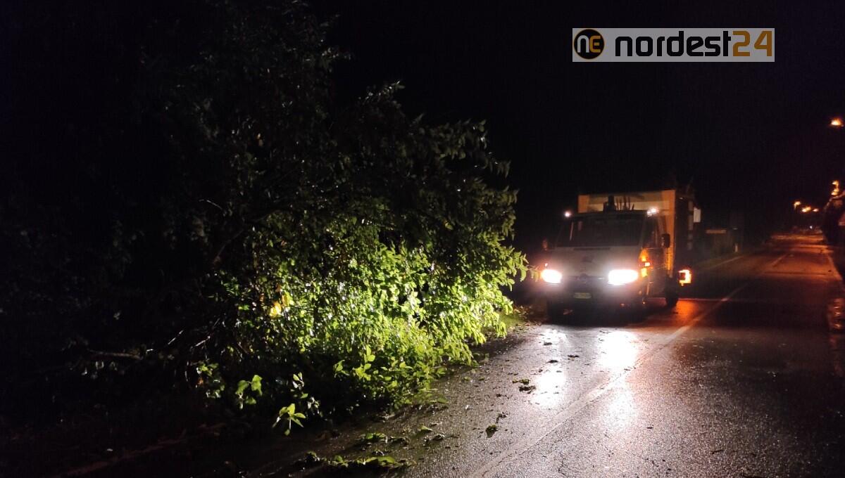 Maltempo, notte di lavoro per la Protezione Civile di Caneva - 