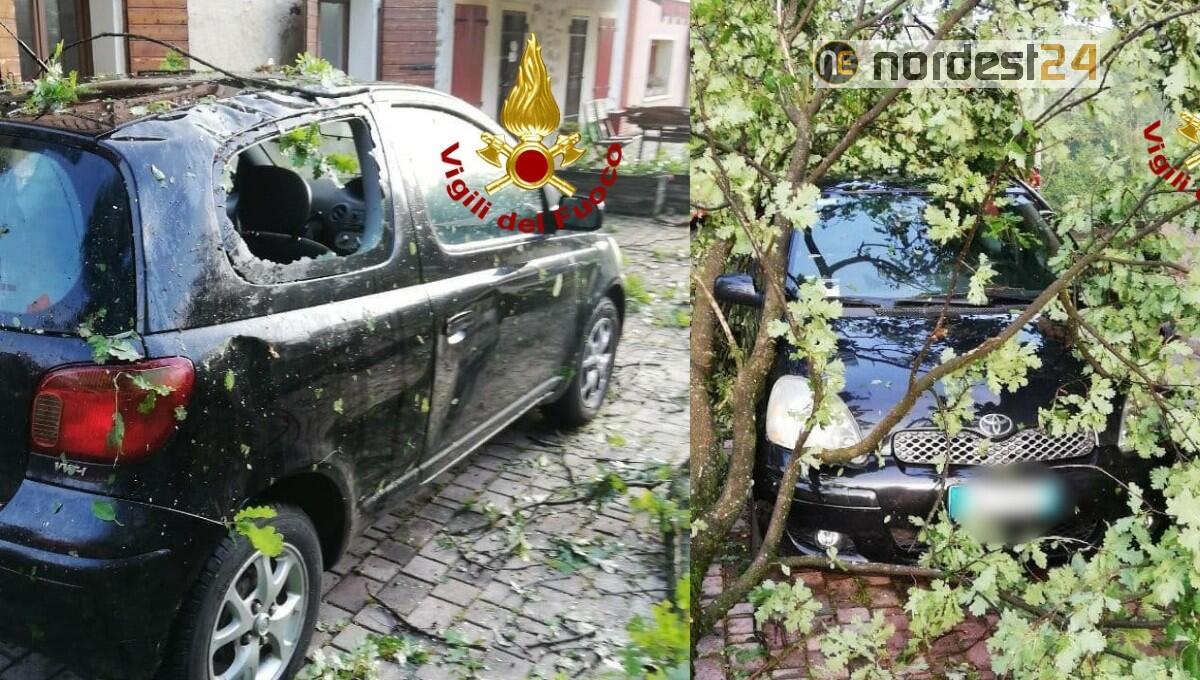 Maltempo in provincia di Belluno: oltre 50 interventi dei vigili del fuoco - 