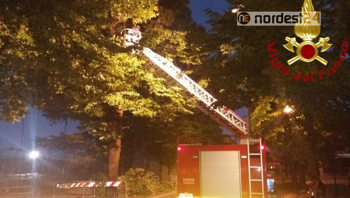 Proseguono gli interventi per il maltempo: altri 135 in coda - 