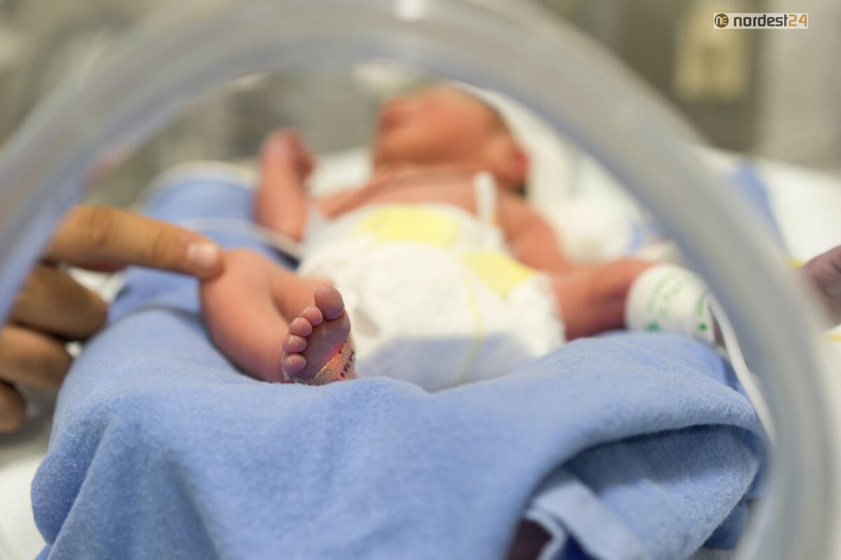 Rete neonatologica e punti nascita Fvg: "peggiori risultati in Italia" - 