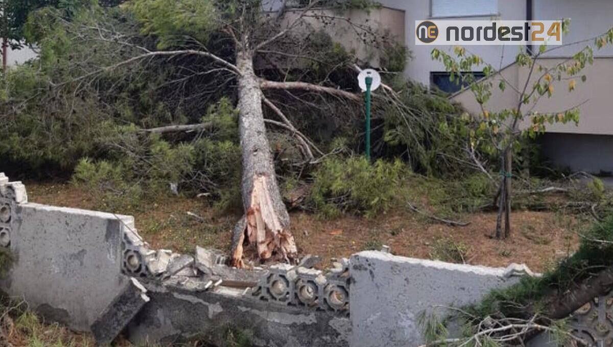 Maltempo e forte vento in Fvg: più di 250 gli interventi di soccorso - 