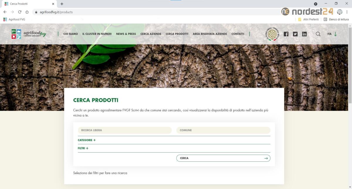 Agrifood individuerà le aziende idonee alle forniture delle mense - 