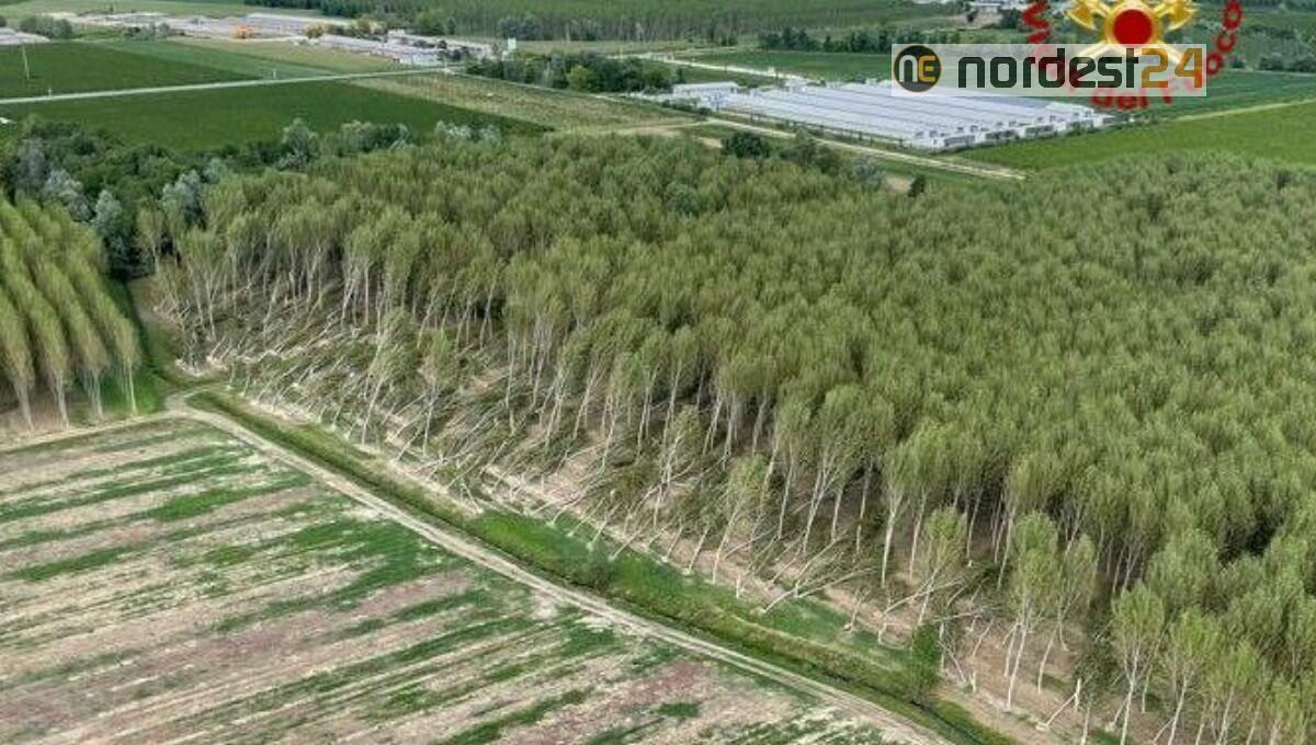 Maltempo Fvg: oltre 110 interventi dei pompieri, ne rimangono 287 da soddisfare - 