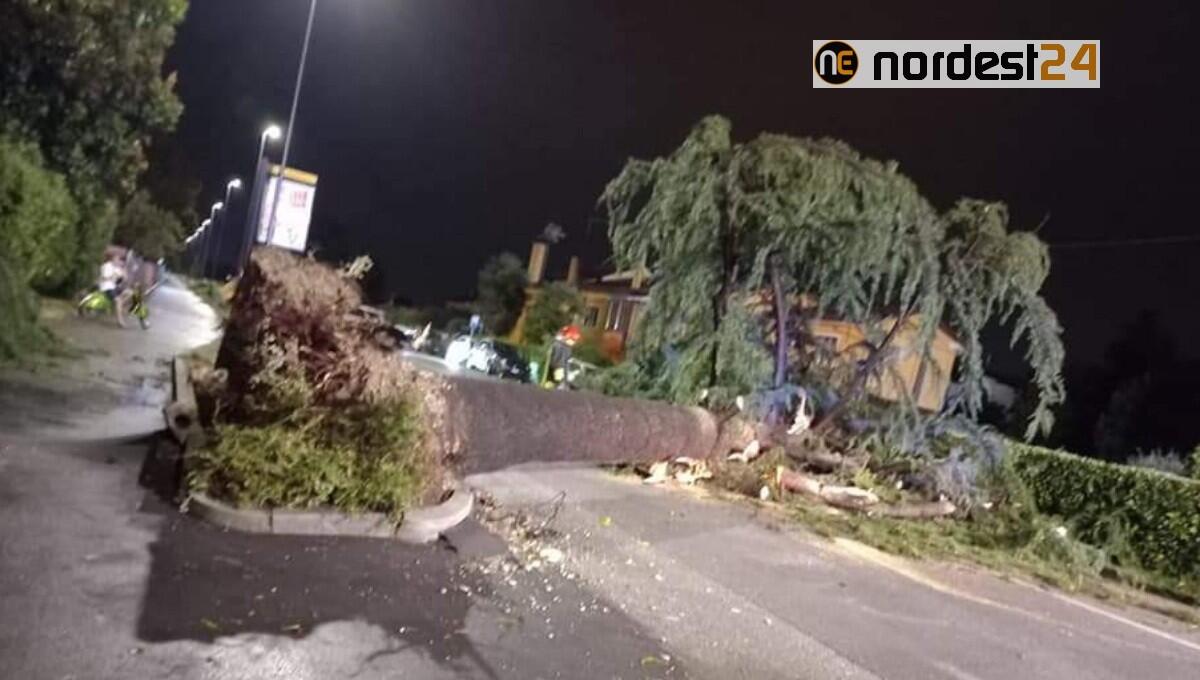 San Donà di Piave, stima danni da maltempo: come presentare la segnalazione - 