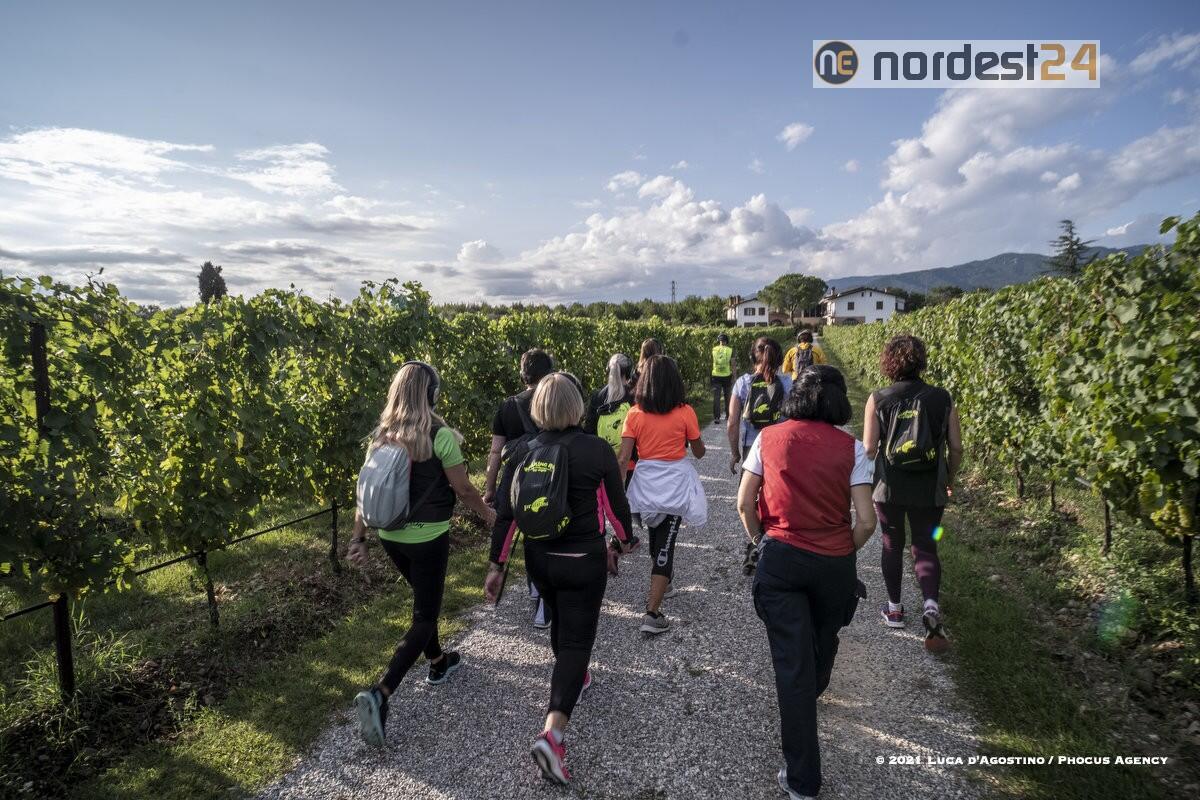 Mittelfest: ecco il programma di domani 31 agosto 2021 - 