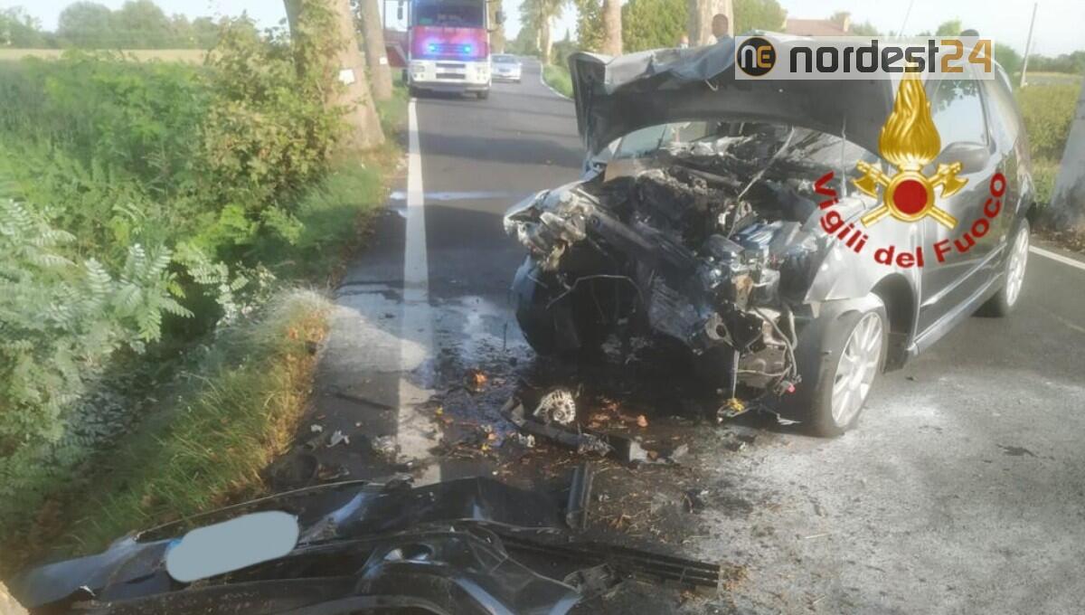 Sbanda e finisce con l'auto contro un platano: ferito gravemente il conducente - 