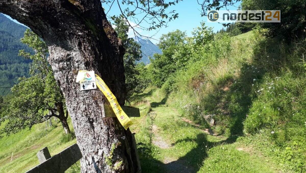 Tarvisio. L’Alpe Adria per gli appassionati di corsa in montagna - 