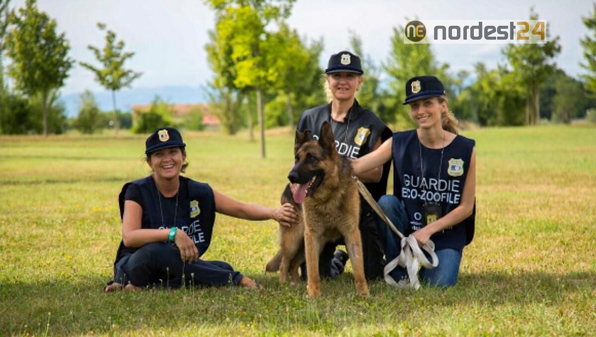 Aperte anche in Fvg le iscrizioni al corso gratuito per Guardie Zoofile Oipa - 