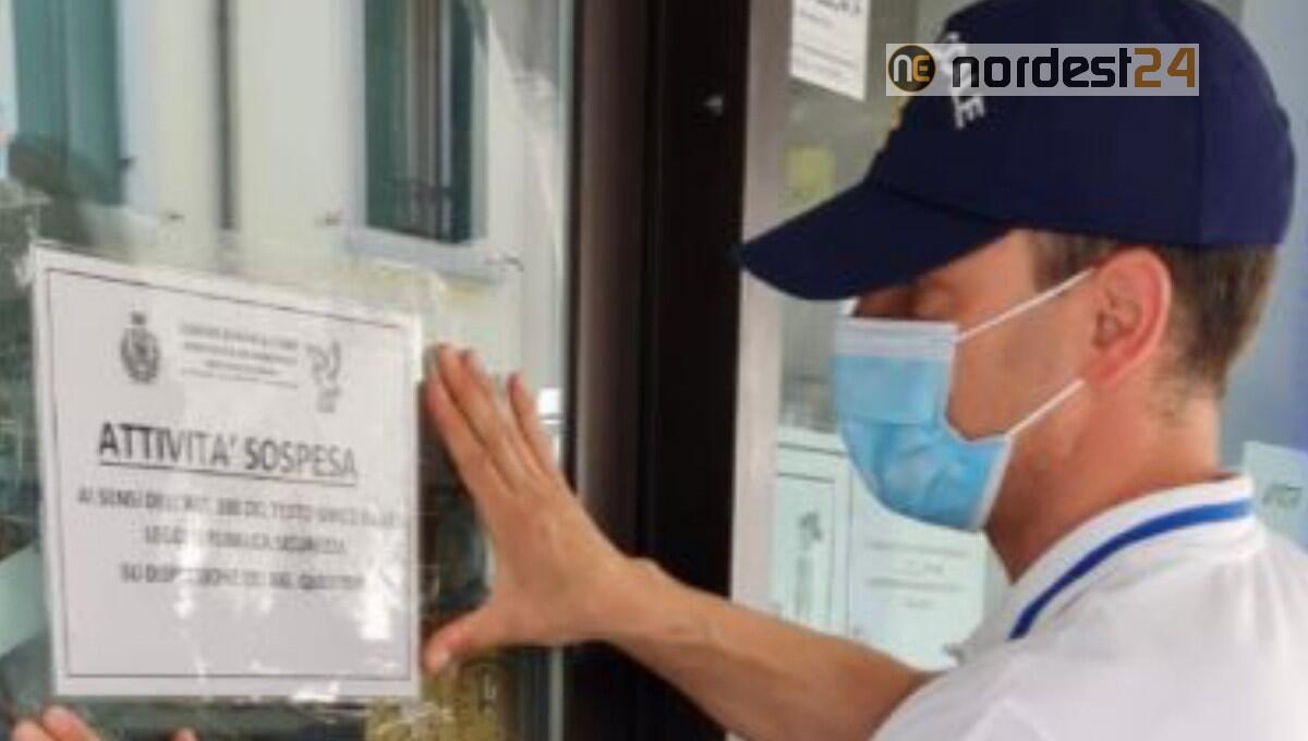 Scarafaggi, polvere e insetti morti: sospesa attività macelleria a Monfalcone - 