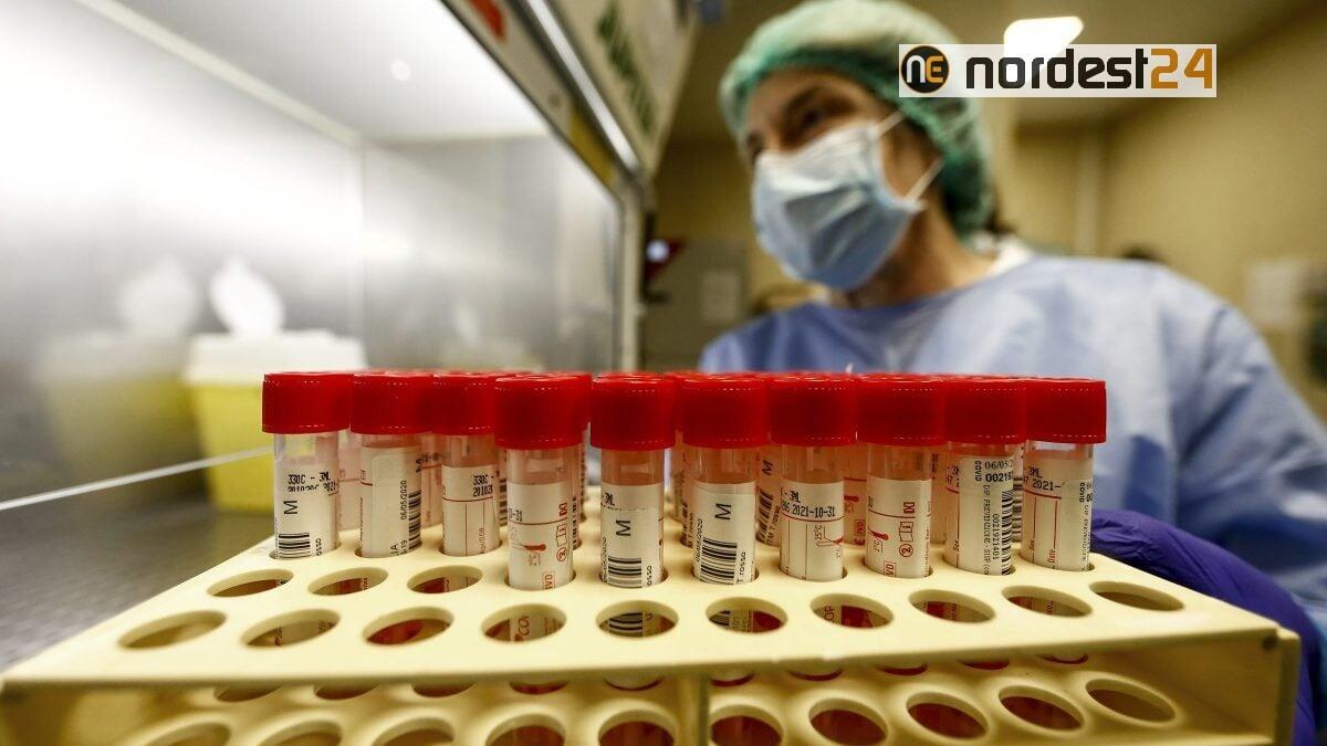 In calo nuovi positivi in Veneto, 229 in 24 ore - 