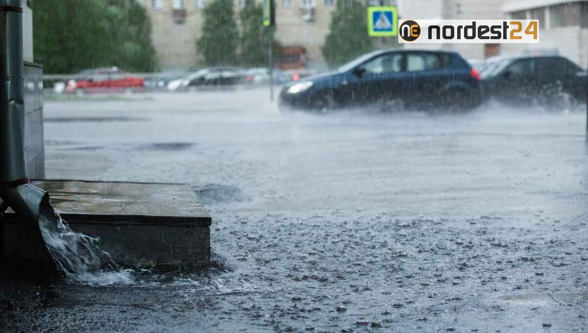 Piogge abbondanti e temporali forti: nuova allerta meteo in Fvg - 