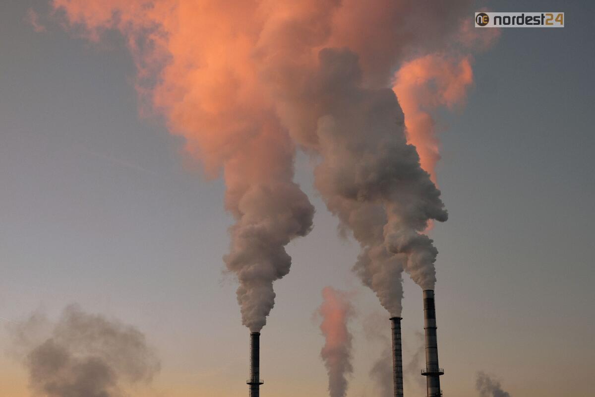 Polveri sottili: la scienza evidenzia un ulteriore effetto negativo - 