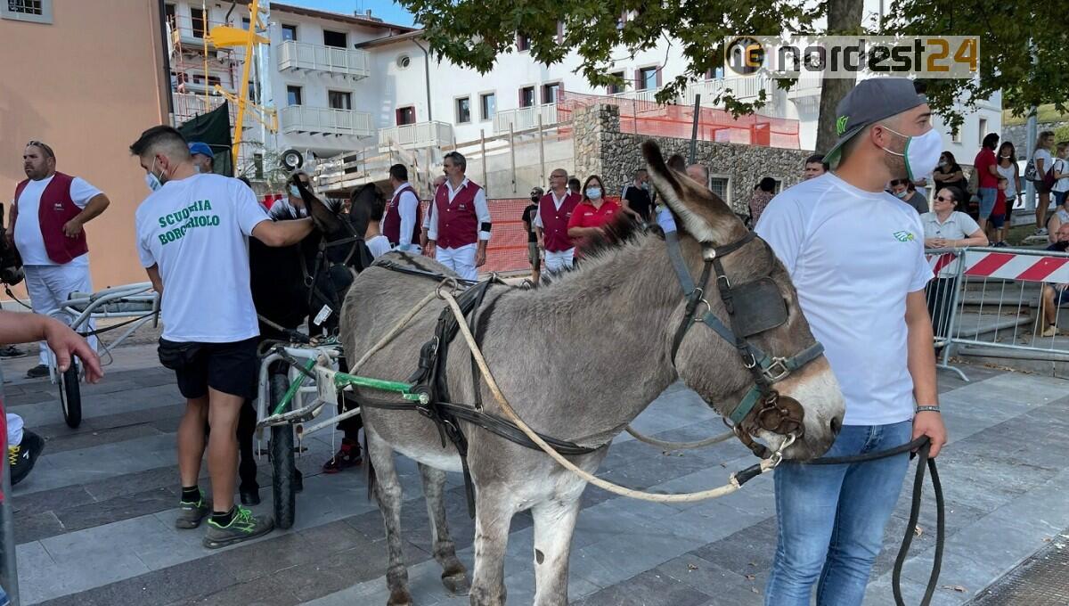 A Fagagna la corsa degli asini: una tradizione che si rinnova - 