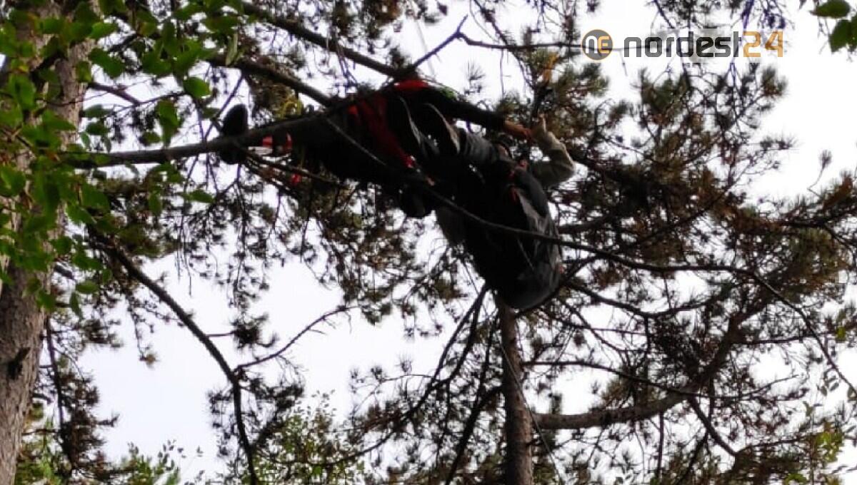 Recuperata pilota di parapendio sospesa tra gli alberi - 