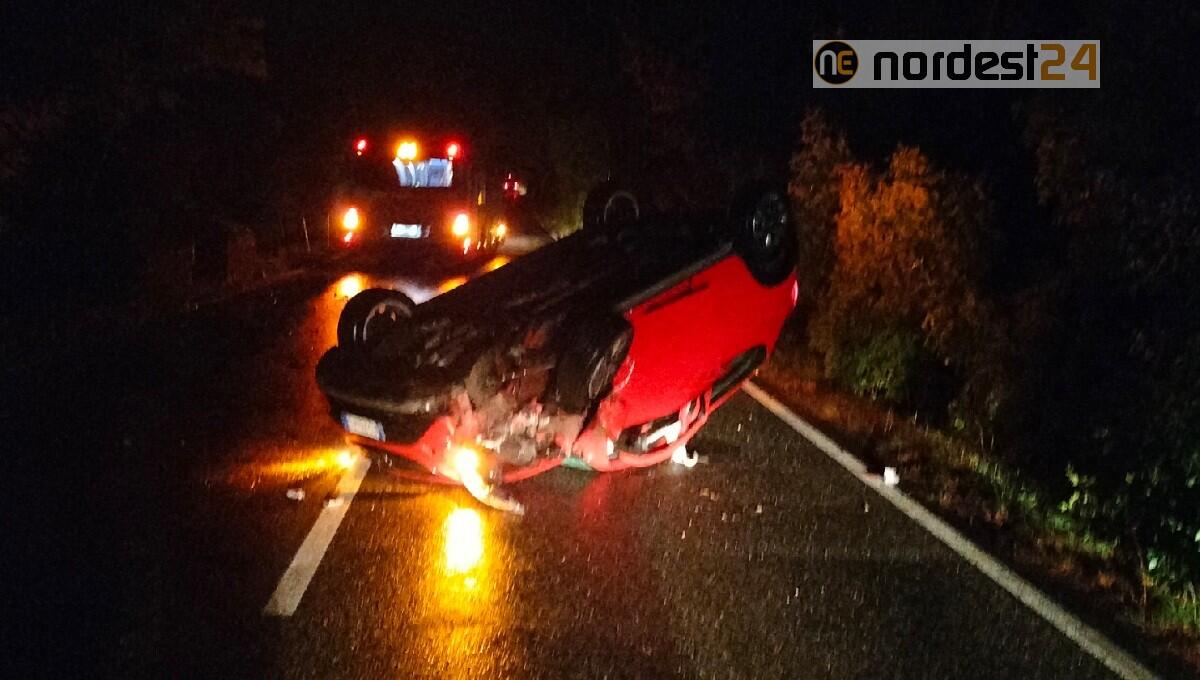 Guida l'auto ubriaco e si ribalta per evitare un capriolo: denunciato 36enne - 