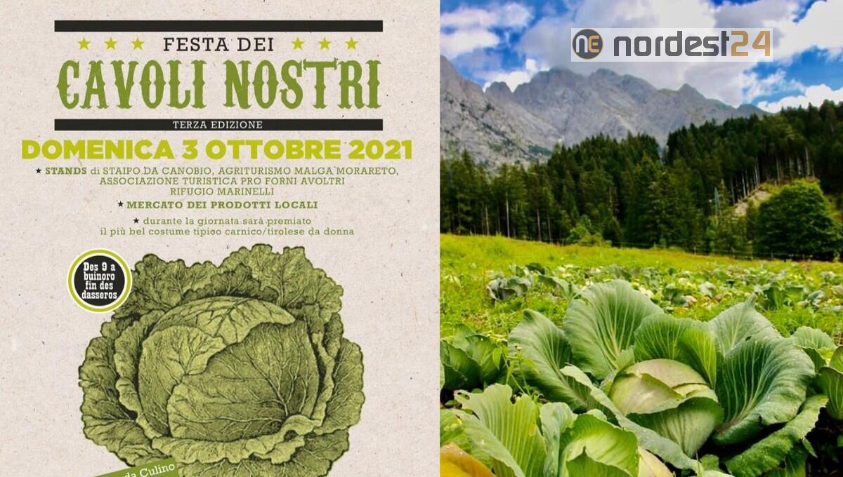 A Collina di Forni Avoltri si festeggeranno i “Cavoli nostri“ - 