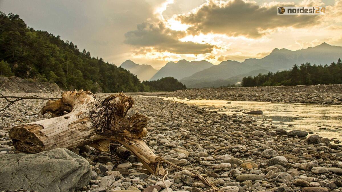 Climate Change Theatre Action, lo spettacolo 'When' sulle rive del Tagliamento - 