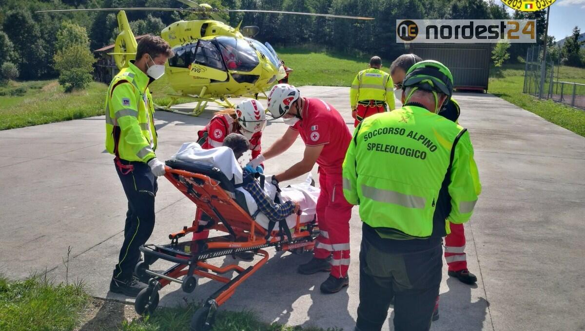 Si avvicina al gregge: escursionista morso da un cane da pastore - 