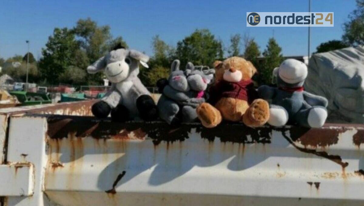 Scoperti e distrutti 5.400 peluche dalla Cina, pericolosi e non a norma - 