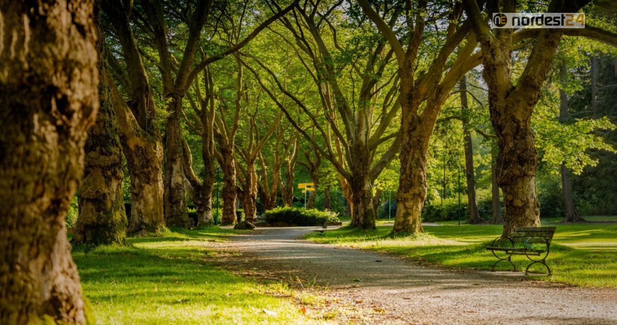 La tutela dell’ambiente in Friuli: fra interventi conservativi e azioni innovative - 