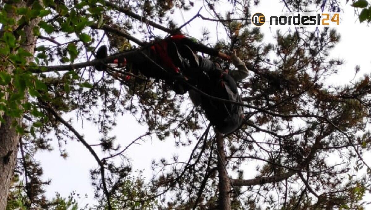 Parapendio precipita e rimane sospeso tra i rami a 15 metri dal suolo - 