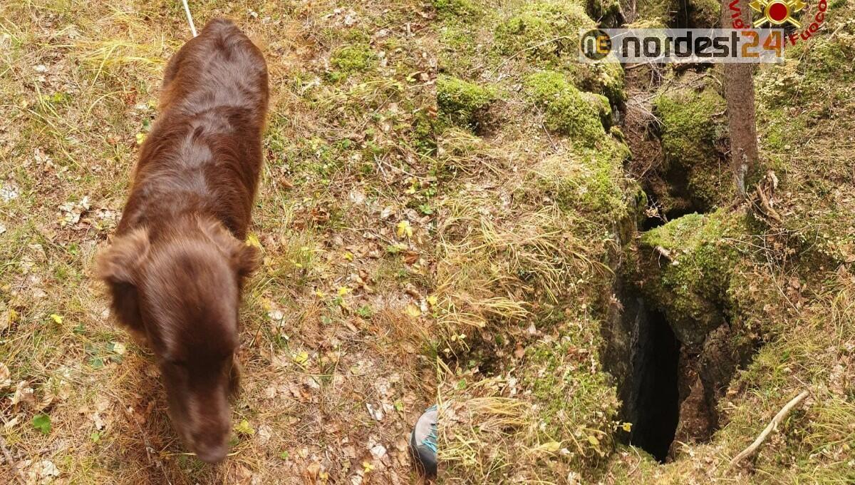 Cade in una fenditura profonda 5 metri: Labrador salvato dai pompieri - 