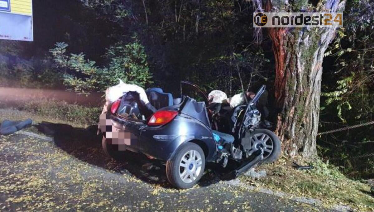 Schianto contro un platano: 3 ragazzi morti, il quarto gravissimo - 