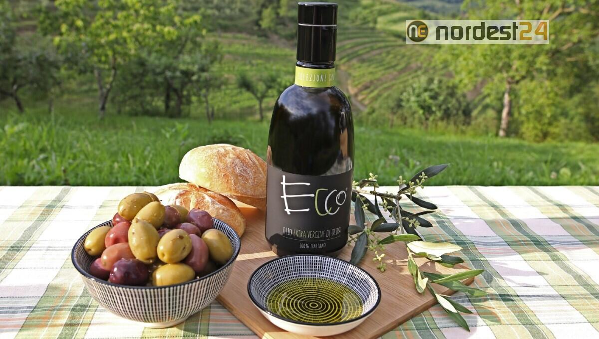 "Ecco", l'olio EVO di Enrico Coser: "valorizzare le potenzialità del territorio" - 