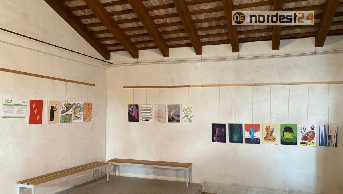 Inaugurata ai Mulini di Stalis (Gruaro) la mostra di illustrazione “Bestiario del Veneto Orientale” - 