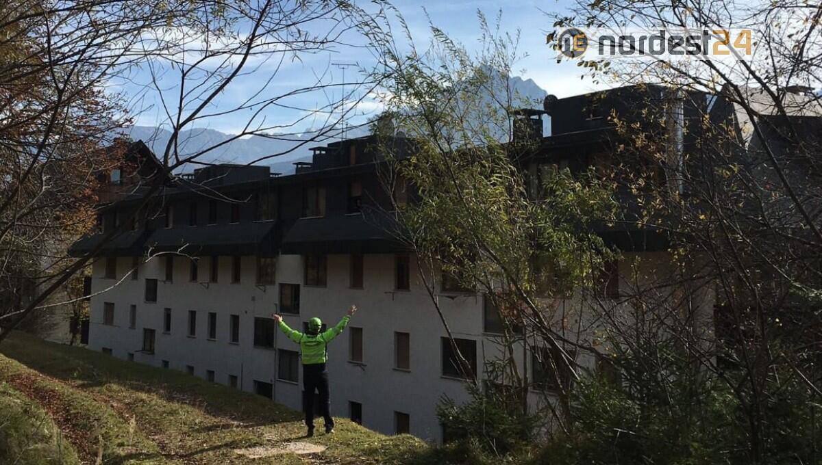 Coppia aggredita a Tarvisio da un cervo durante una passeggiata: feriti seriamente - 