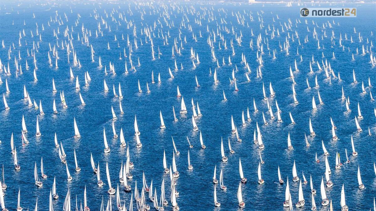 Barcolana, c'è il Piano straordinario per ferrovie e Tpl - 