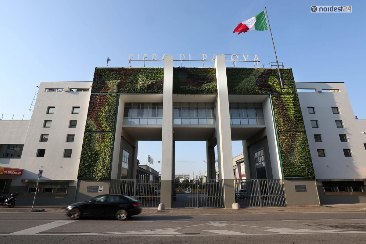 Padova. Sabato apre Tuttinfiera: la grande kermesse - 