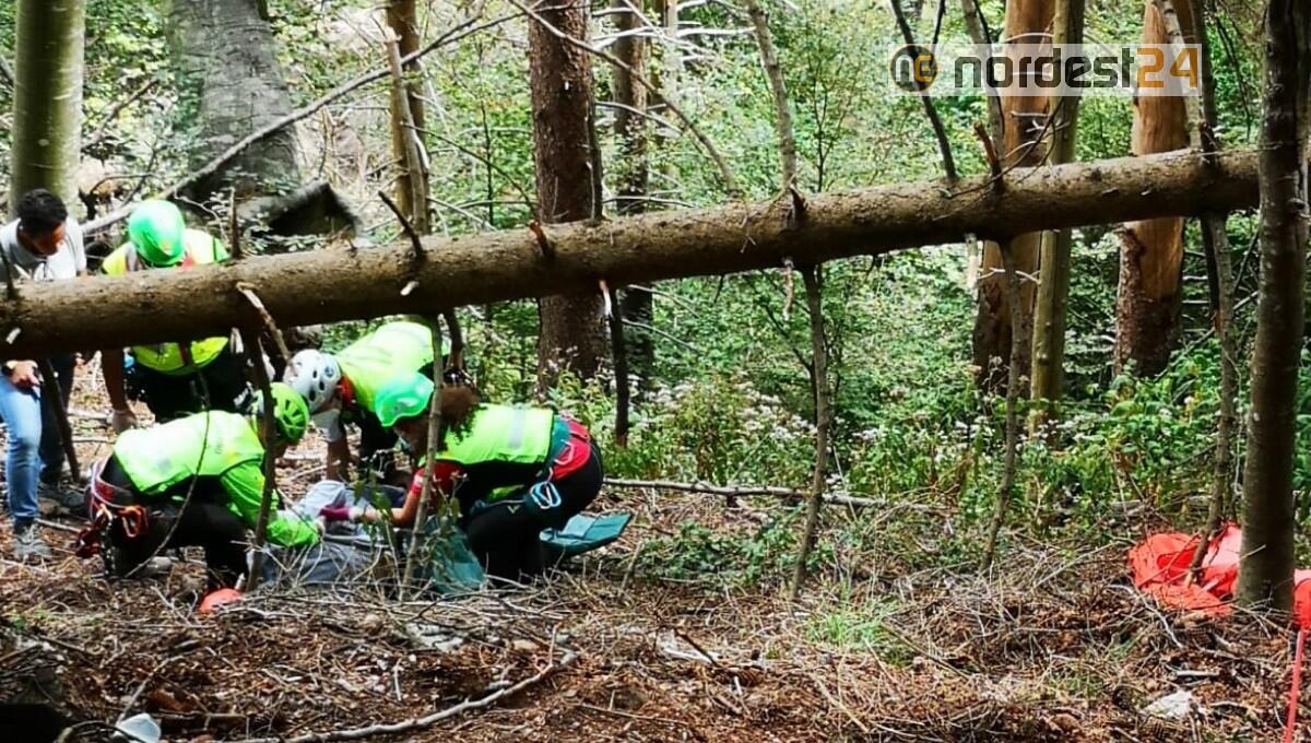 Forni di Sopra. Boscaiolo colpito alla testa da un tronco: ferito - 