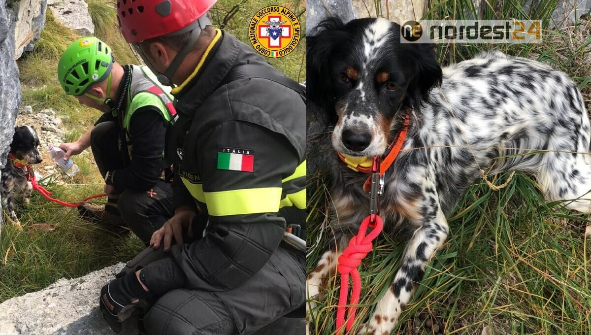 Recuperata la cagnolina di un cacciatore bloccata su una cengia - 