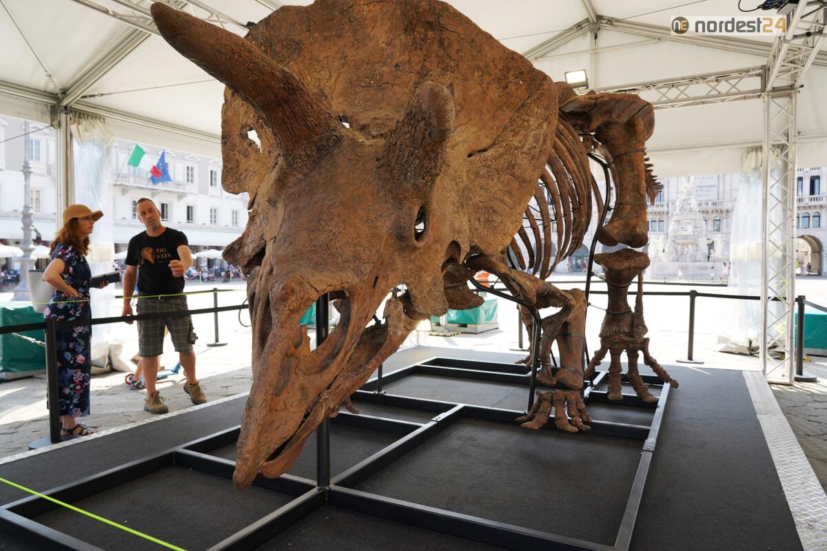 Il Dinosauro Big John entra nel Guinness World Records - 