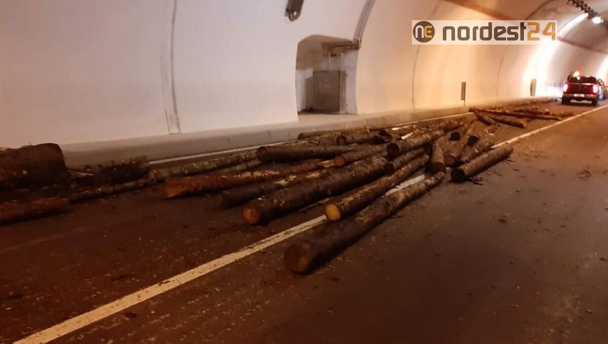 Si ribalta rimorchio di legname sulla SR355: disagi, nessun ferito - 