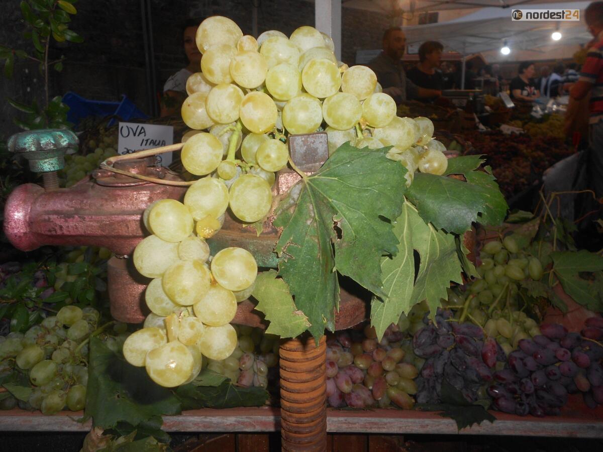 Prošek, Fedagripesca: in prima linea per sostenere l’opposizione alla domanda di riconoscimento della menzione croata - 